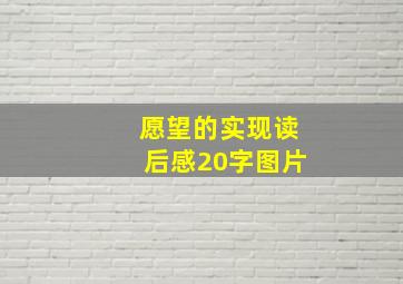 愿望的实现读后感20字图片