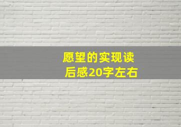 愿望的实现读后感20字左右