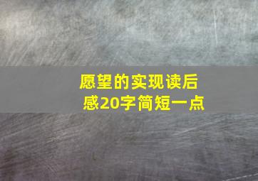 愿望的实现读后感20字简短一点