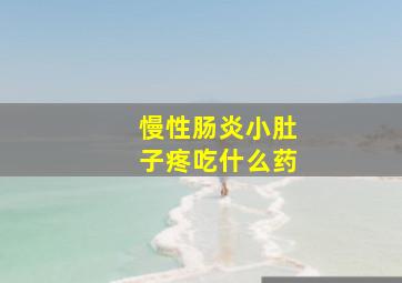 慢性肠炎小肚子疼吃什么药