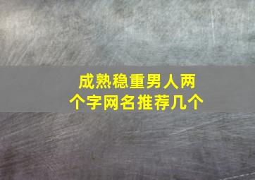 成熟稳重男人两个字网名推荐几个