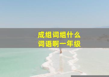 成组词组什么词语啊一年级