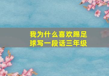 我为什么喜欢踢足球写一段话三年级