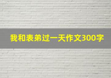 我和表弟过一天作文300字