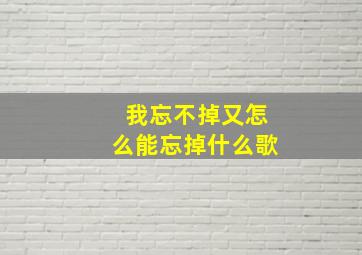 我忘不掉又怎么能忘掉什么歌