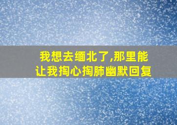 我想去缅北了,那里能让我掏心掏肺幽默回复