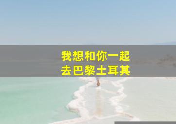 我想和你一起去巴黎土耳其