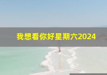 我想看你好星期六2024