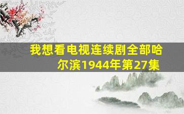 我想看电视连续剧全部哈尔滨1944年第27集