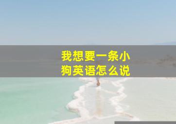 我想要一条小狗英语怎么说