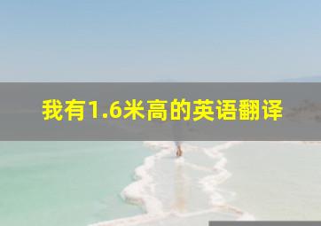 我有1.6米高的英语翻译