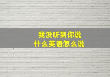 我没听到你说什么英语怎么说