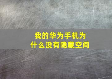 我的华为手机为什么没有隐藏空间