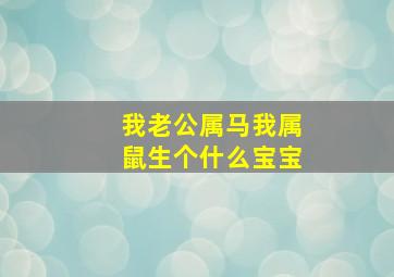 我老公属马我属鼠生个什么宝宝