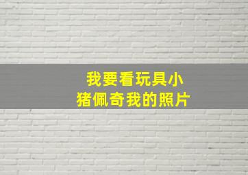 我要看玩具小猪佩奇我的照片