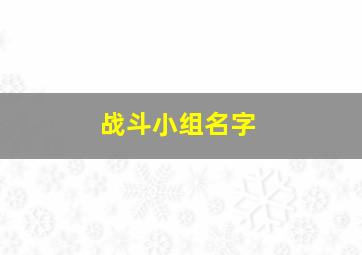 战斗小组名字