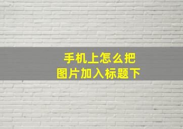 手机上怎么把图片加入标题下