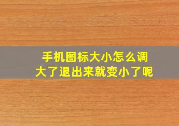 手机图标大小怎么调大了退出来就变小了呢