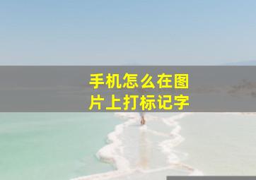 手机怎么在图片上打标记字