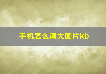 手机怎么调大图片kb