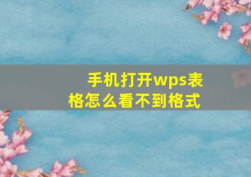 手机打开wps表格怎么看不到格式