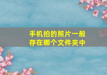 手机拍的照片一般存在哪个文件夹中