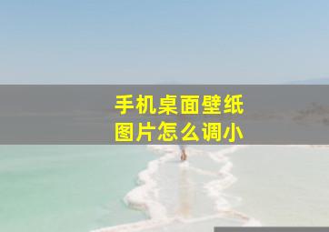 手机桌面壁纸图片怎么调小