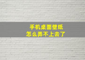 手机桌面壁纸怎么弄不上去了