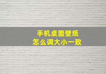 手机桌面壁纸怎么调大小一致