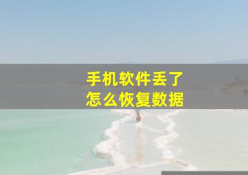 手机软件丢了怎么恢复数据