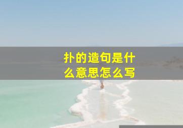 扑的造句是什么意思怎么写