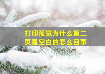 打印预览为什么第二页是空白的怎么回事