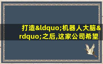 打造“机器人大脑”之后,这家公司希望让机器人更智能