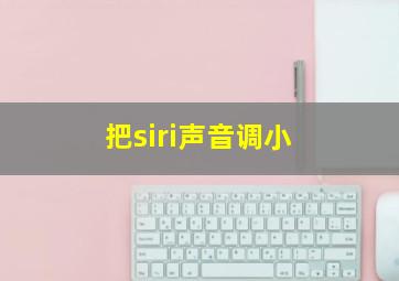 把siri声音调小