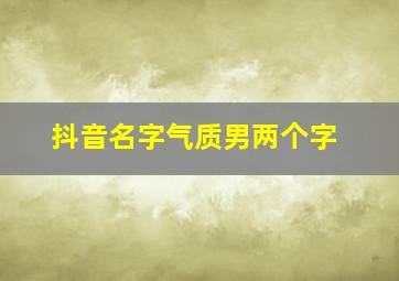 抖音名字气质男两个字