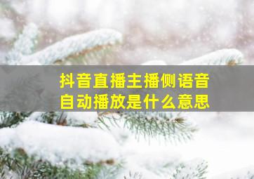 抖音直播主播侧语音自动播放是什么意思