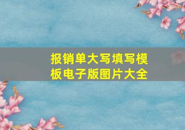 报销单大写填写模板电子版图片大全