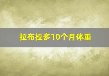 拉布拉多10个月体重