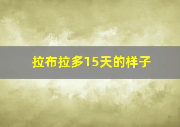 拉布拉多15天的样子