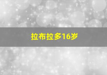 拉布拉多16岁