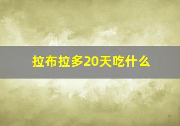 拉布拉多20天吃什么