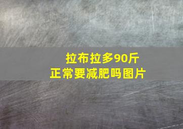 拉布拉多90斤正常要减肥吗图片