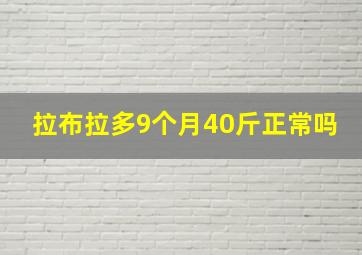 拉布拉多9个月40斤正常吗