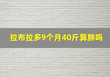 拉布拉多9个月40斤算胖吗