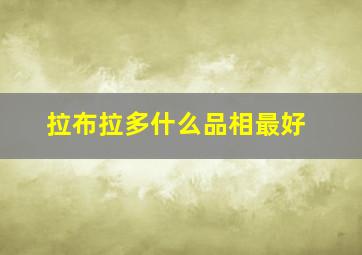 拉布拉多什么品相最好