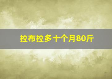 拉布拉多十个月80斤