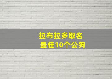 拉布拉多取名最佳10个公狗