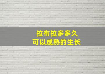 拉布拉多多久可以成熟的生长