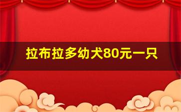 拉布拉多幼犬80元一只