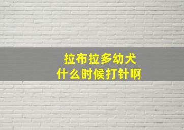 拉布拉多幼犬什么时候打针啊